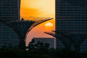Photo Sunset picture frame