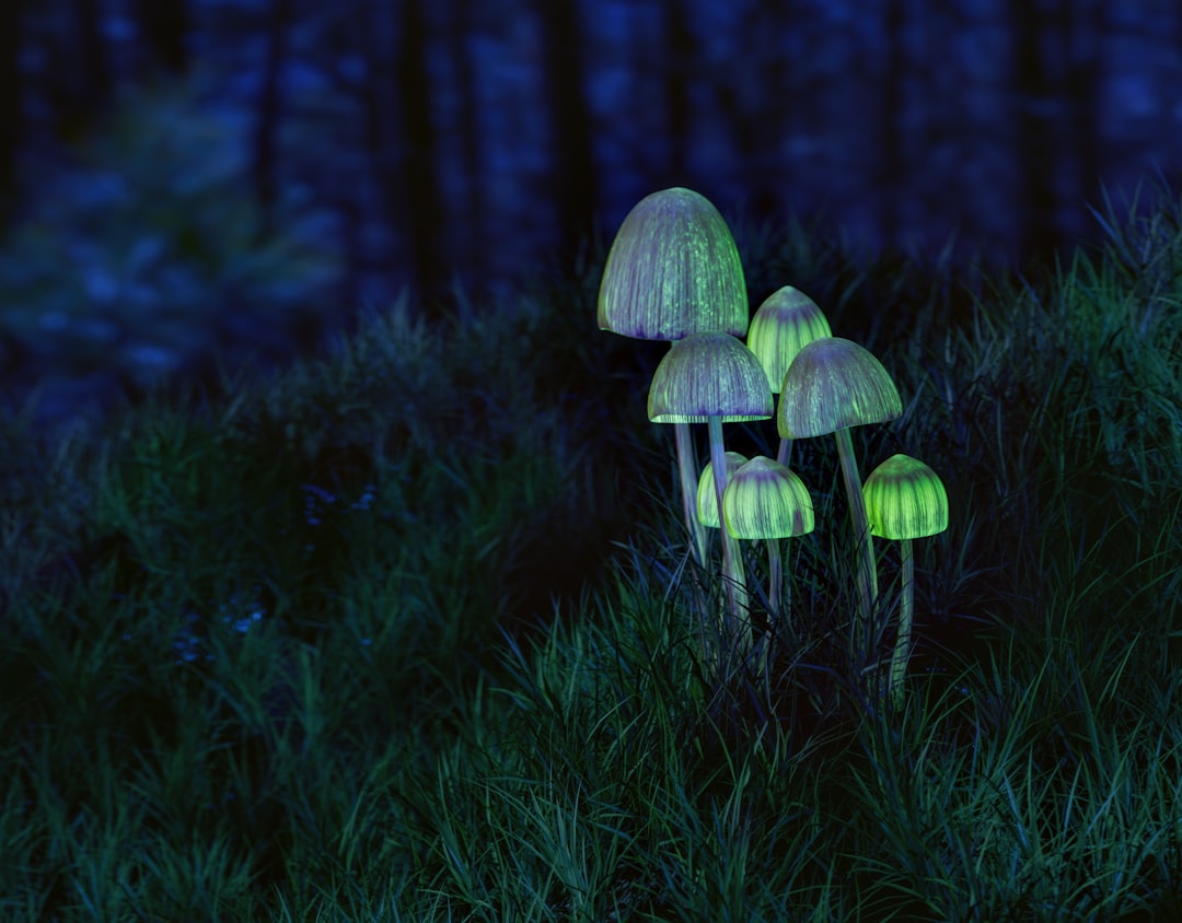 Photo mushroom mycelium pendant lamps