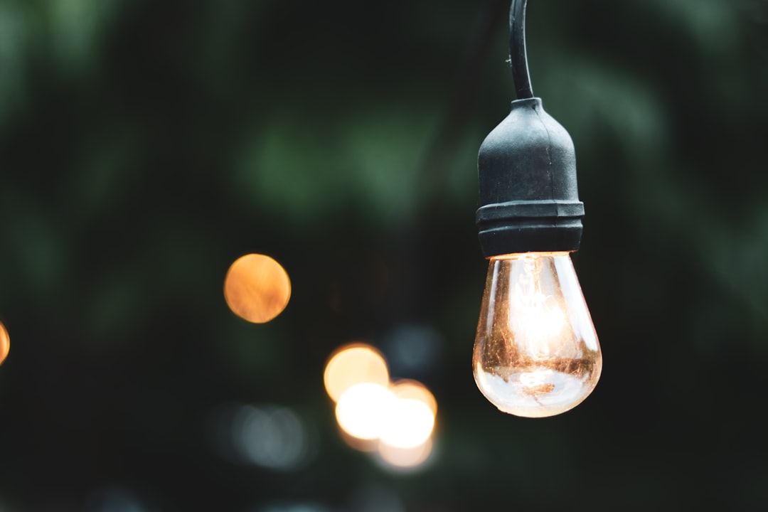 Photo festoon lights